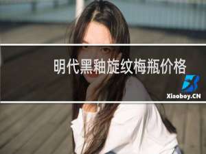 明代黑釉旋纹梅瓶价格