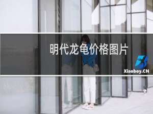 明代龙龟价格图片