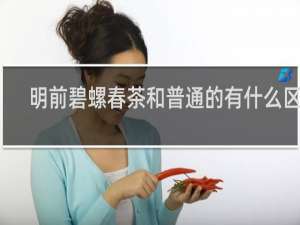 明前碧螺春茶和普通的有什么区别
