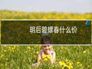 明后碧螺春什么价