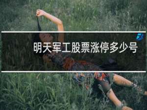 明天军工股票涨停多少号
