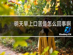 明天早上口苦是怎么回事啊