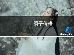 明子价格