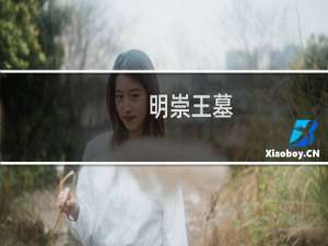 明崇王墓(关于明崇王墓的简介)