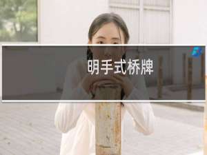 明手式桥牌(关于明手式桥牌的简介)