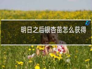 明日之后银杏苗怎么获得
