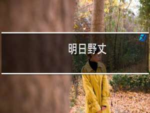明日野丈(关于明日野丈的简介)
