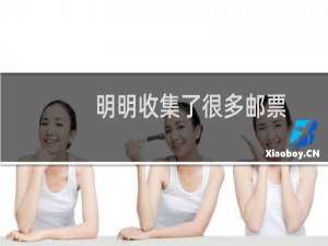 明明收集了很多邮票