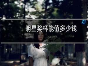 明星奖杯能值多少钱