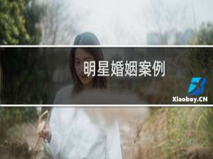 明星婚姻案例