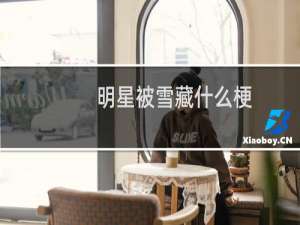 明星被雪藏什么梗