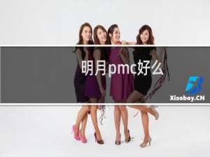 明月pmc好么
