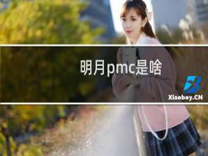 明月pmc是啥