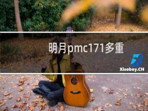 明月pmc171多重