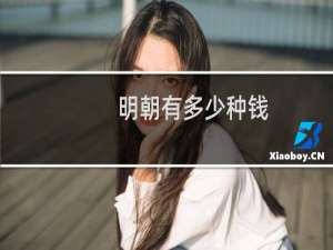 明朝有多少种钱