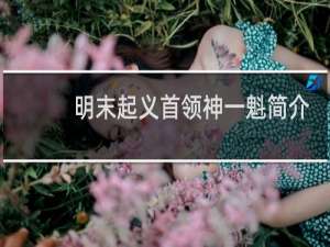 明末起义首领神一魁简介，神一魁是怎么死的？