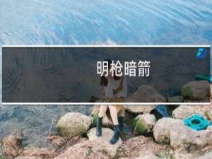 明枪暗箭(关于明枪暗箭的简介)