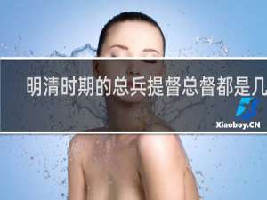 明清时期的总兵提督总督都是几品