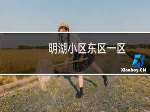 明湖小区东区一区(关于明湖小区东区一区的简介)