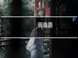 明珠路(关于明珠路的简介)