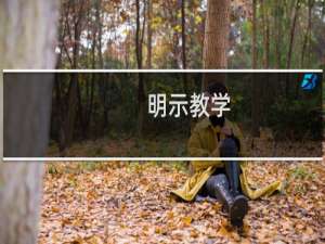 明示教学(关于明示教学的简介)