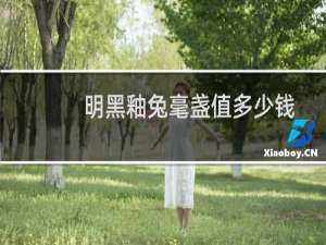 明黑釉兔毫盏值多少钱
