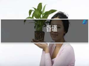 昏壒(关于昏壒的简介)