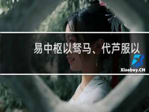 易中枢以驽马、代芦服以柴胡