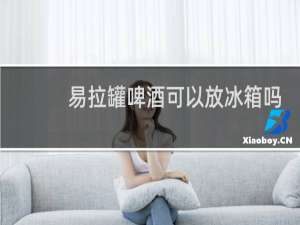 易拉罐啤酒可以放冰箱吗