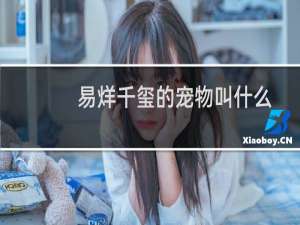 易烊千玺的宠物叫什么