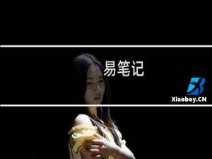 易笔记(关于易笔记的简介)