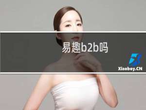 易趣b2b吗