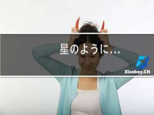星のように…(关于星のように…的简介)
