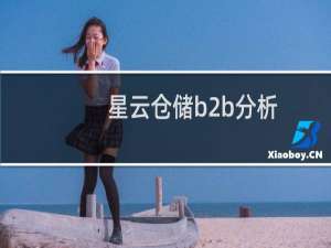 星云仓储b2b分析