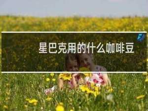 星巴克用的什么咖啡豆