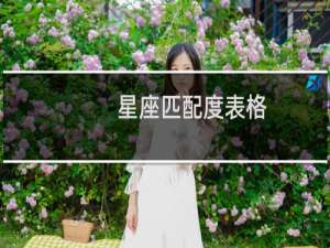 星座匹配度表格