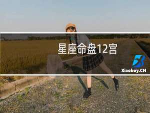 星座命盘12宫