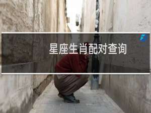 星座生肖配对查询