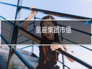 星座集团市值