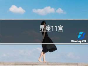 星座11宫