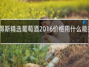 星得斯精选葡萄酒2016价格用什么能扫出价格