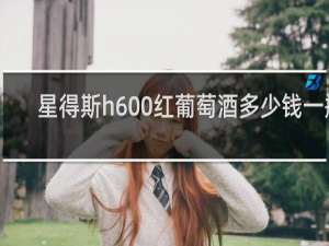 星得斯h600红葡萄酒多少钱一瓶