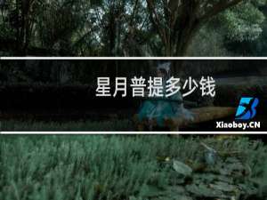 星月普提多少钱
