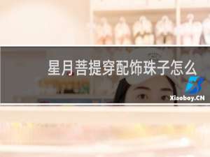 星月菩提穿配饰珠子怎么分