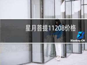 星月菩提11 8价格