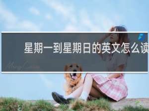 星期一到星期日的英文怎么读
