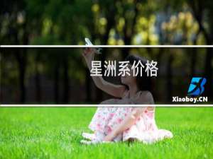 星洲系价格
