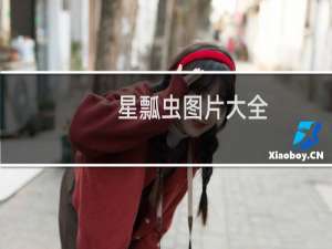 星瓢虫图片大全