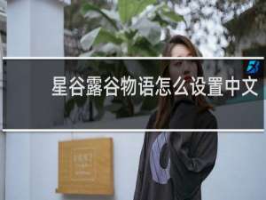 星谷露谷物语怎么设置中文