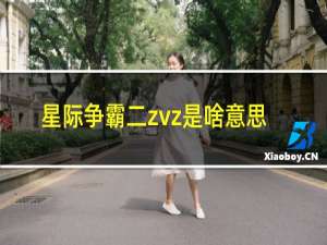 星际争霸二zvz是啥意思